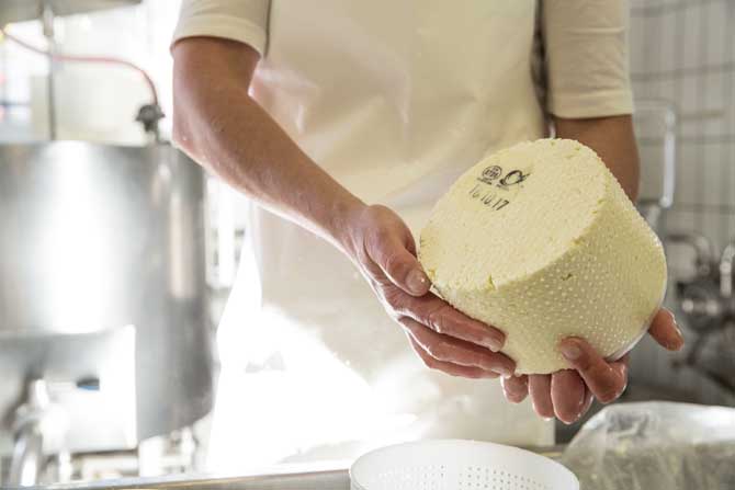 Chäsgschichten über uns Chäsgschichten über uns