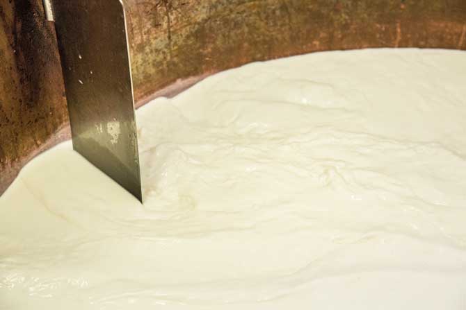 Chäsgschichten Käse kaufen